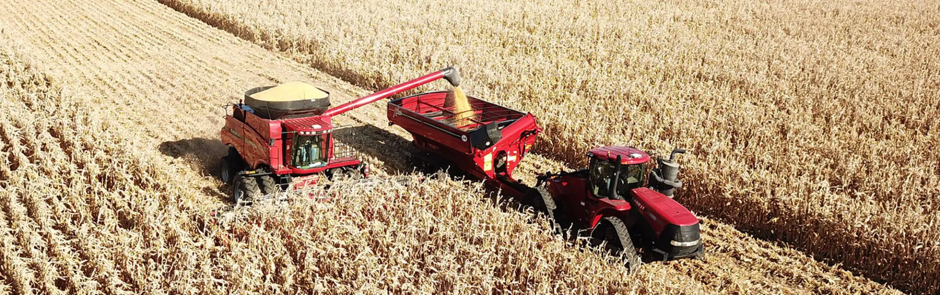 Case IH